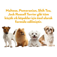 Petlebi Tavuklu Küçük Irklar İçin Ezme Köpek Konservesi 100gr (6 Adet)