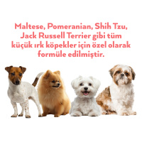 Petlebi Somonlu Küçük Irklar İçin Ezme Köpek Konservesi 100gr (12 Adet)