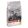 Pro Plan Kitten Tavuklu ve Pirinçli Yavru Kedi Maması 1,5kg