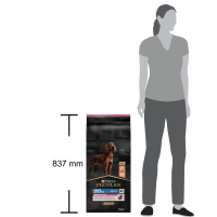 Pro Plan Large Athletic Büyük Irk Somonlu ve Pirinçli Yetişkin Köpek Maması 14kg