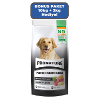 Pronature Kuzulu Enginarlı ve Patatesli Tahılsız Yetişkin Köpek Maması 10kg + 2kg HEDİYE!