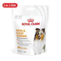 Royal Canin Deri ve Tüy Sağlığı Destekleyici Tamamlayıcı Yetişkin Köpek Ödül Maması (3 AL 2 ÖDE)
