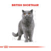 Royal Canin British Shorthair Yetişkin Kedi Maması 400gr