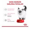 Royal Canin Pouch Kitten Sos İçinde Yavru Kedi Konservesi 85gr (12 Adet)