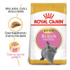 Royal Canin Kitten British Shorthair Yavru Kedi Maması 2kg