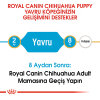 Royal Canin Puppy Chihuahua Yavru Köpek Maması 1,5kg