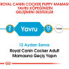 Royal Canin Cocker Junior Yavru Köpek Maması 3kg