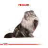 Royal Canin İran Kedisi için Yetişkin Kedi Maması 10kg