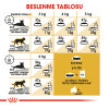 Royal Canin İran Kedisi Yetişkin Kedi Maması 4kg