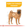 Royal Canin Medium Dermacomfort Deri ve Tüy Sağlığı için Orta Irk Yetişkin Köpek Maması 12kg