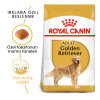 Royal Canin Golden Retriever Yetişkin Köpek Maması 12kg