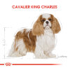 Royal Canin Cavalier King Charles 27 Yetişkin Köpek Maması 1,5kg