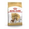 Royal Canin Cavalier King Charles 27 Yetişkin Köpek Maması 1,5kg