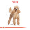 Royal Canin Poodle Yetişkin Köpek Maması 3kg