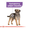 Royal Canin Mini Küçük Irk Kısırlaştırılmış Köpek Maması 3kg