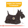 Royal Canin Dermacomfort Mini Yetişkin Köpek Maması 3kg