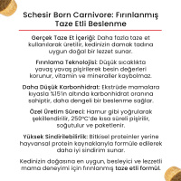 Schesir Born Carnivore Somonlu ve Ringa Balıklı Yetişkin Kedi Maması 255gr