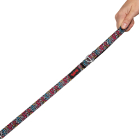 Tailpetz Graffiti Desenli Kedi ve Köpek Gezdirme Kayışı 100x1,5cm