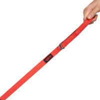 Tailpetz Prism Desenli Kedi ve Köpek Gezdirme Kayışı 100x1,5cm