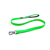 Tailpetz Match Kedi ve Köpek Gezdirme Kayışı 100x1,5cm (Neon Yeşil)