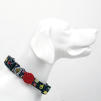 Tailpetz Space Collar Köpek Boyun Tasması [XS]