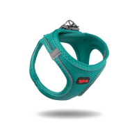 Tailpetz Air-Mesh Küçük Irk Köpek Göğüs Tasması 32-36cm (Zümrüt Yeşili) [XS]
