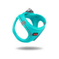 Tailpetz Air-Mesh Küçük Irk Köpek Göğüs Tasması 48-54cm (Turkuaz) [L]