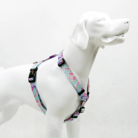 Tailpetz Harness Bubbles Büyük Irk Köpek Göğüs Tasması 62-107cm [L]