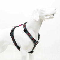 Tailpetz Harness Graffiti  Orta Irk Köpek Göğüs Tasması 42-69cm [M]