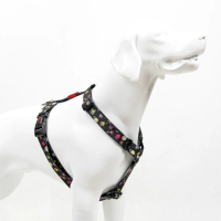 Tailpetz Harness Space Orta Irk Köpek Göğüs Tasması 42-69cm [M]