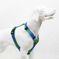 Tailpetz Amazon H-Harness Köpek Göğüs Tasması [L]