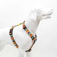 Tailpetz H-Tipi Köpek Göğüs Tasması (Gökkuşağı) [S]