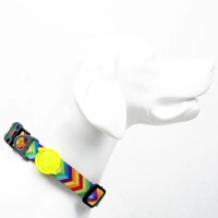 Tailpetz Rainbow Köpek Boyun Tasması [L]