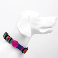 Tailpetz Wave Köpek Boyun Tasması [L]
