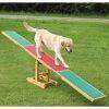 Trixie Köpek  Eğitim Tahterevalli 300x54x34cm