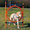 Trixie Köpek Agility Eğitim Çemberi 3x65x115cm