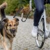 Trixie Bisiklet için U Şeklinde Köpek Yürütme Aparatı [M-XL]