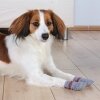 Trixie Kaymaz Köpek Çorabı (2'li) (Gri) [XXS-XS]