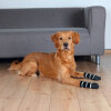 Trixie Kaymaz Tabanlı Köpek Çorabı (2'li) [S-M]