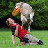 Trixie Agility Frizbi Köpek Eğitim Oyuncağı 19cm
