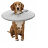 Trixie Polyester Köpek Yakalığı 60-64cm/29cm (Gri) [XL]