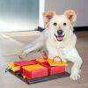 Trixie Poker Köpek Zeka ve Eğitim Oyuncağı 31x10x31cm