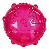 Trixie Termoplastik Köpek Oyun Topu 8cm (Mor)