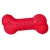 Trixie Kauçuk İçi Su Doldurulabilen Kemik Köpek Oyuncağı 11cm (Karışık Renkli)