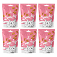 Vet's Plus Crunchy İçi Dolgulu Somonlu ve Catnipli Kedi Ödül Bisküvisi 60gr (6 Adet)