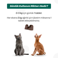 Vet's Plus Dental Kedi ve Köpekler İçin Diş Bakımı Çiğnenebilir Tablet (60'lı)