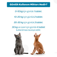 Vet's Plus Derma Care Kedi ve Köpekler İçin Deri ve Tüy Yapısı Destekleyici Biyotin Tablet (75'li)