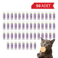 Wooc Lollipop Tavuk ve Yaban Mersinli Kedi Ödül Maması 1,4gr (50'li)