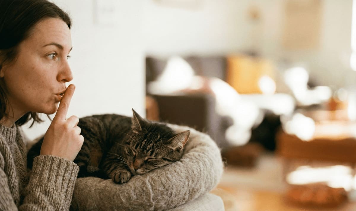 kedi yatağında uyuyan tekir ve sus işareti yapan kumral kadın