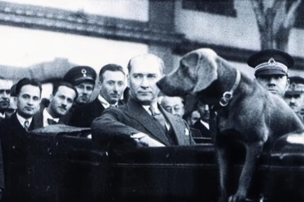 Atatürk ve Foks arabada